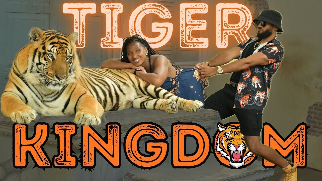 Tiger Kingdom Tour: Up Close and Personal | Phuket Travel Vlog