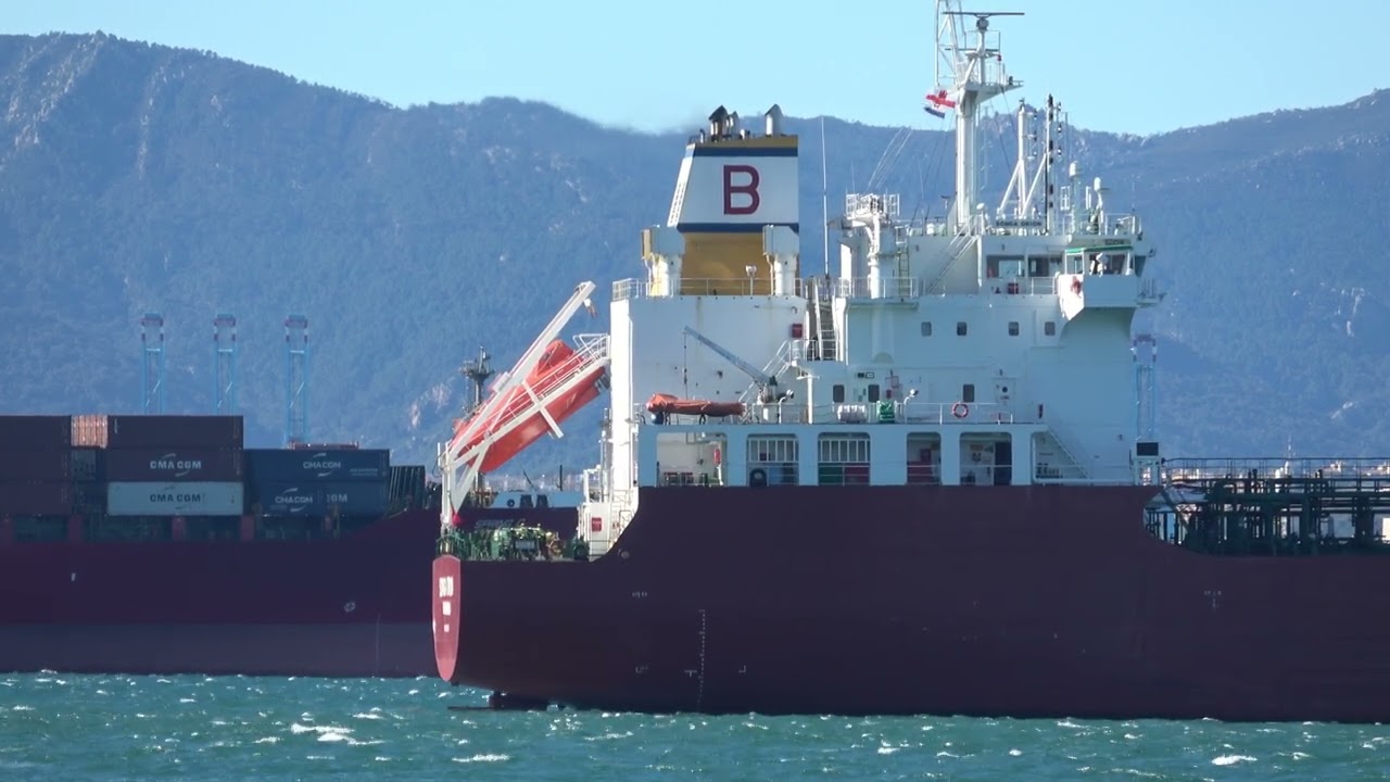 Port of Gibraltar, 1 Hour Ship Movements, Planes, Helicopters and Sea Birds Diving