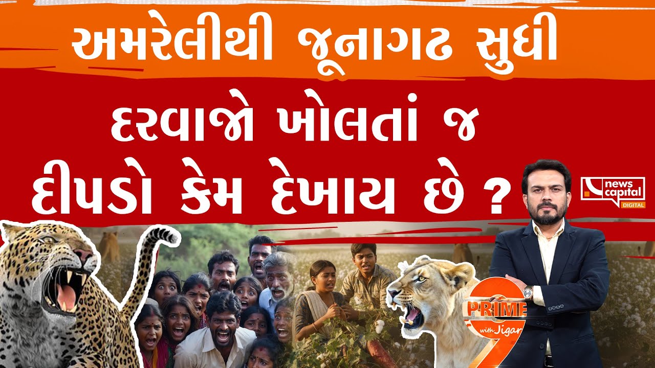 અમરેલી અને જૂનાગઢમાં વન્ય પ્રાણીઓએ ઊંઘ હરામ કરી નાખી
