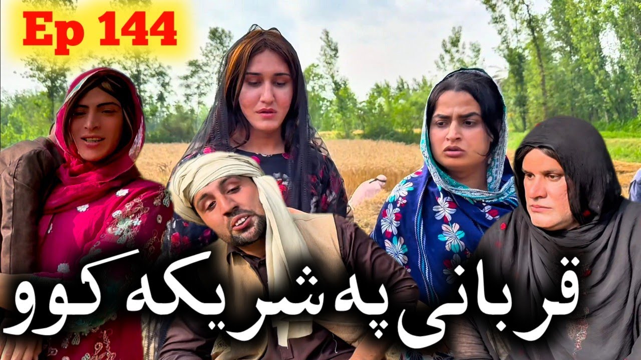 Qurban I Pa Sharika Ko ll Khpala Weena Drama Episode 144 By Charsadda Vines Director SadiqKhan