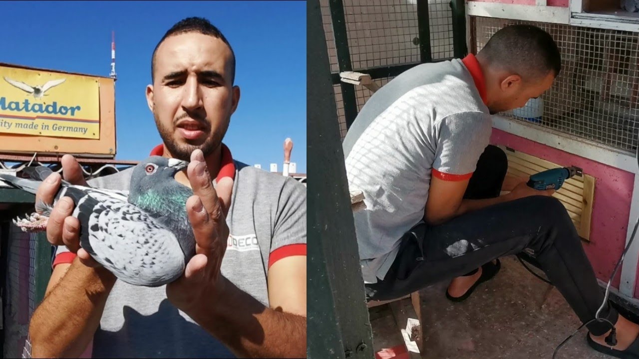 بعض التعديلات في اللوفت وتوليعة ودردشة مع البطل صلاح الدين إمشد-جدار بعد غياب طويل