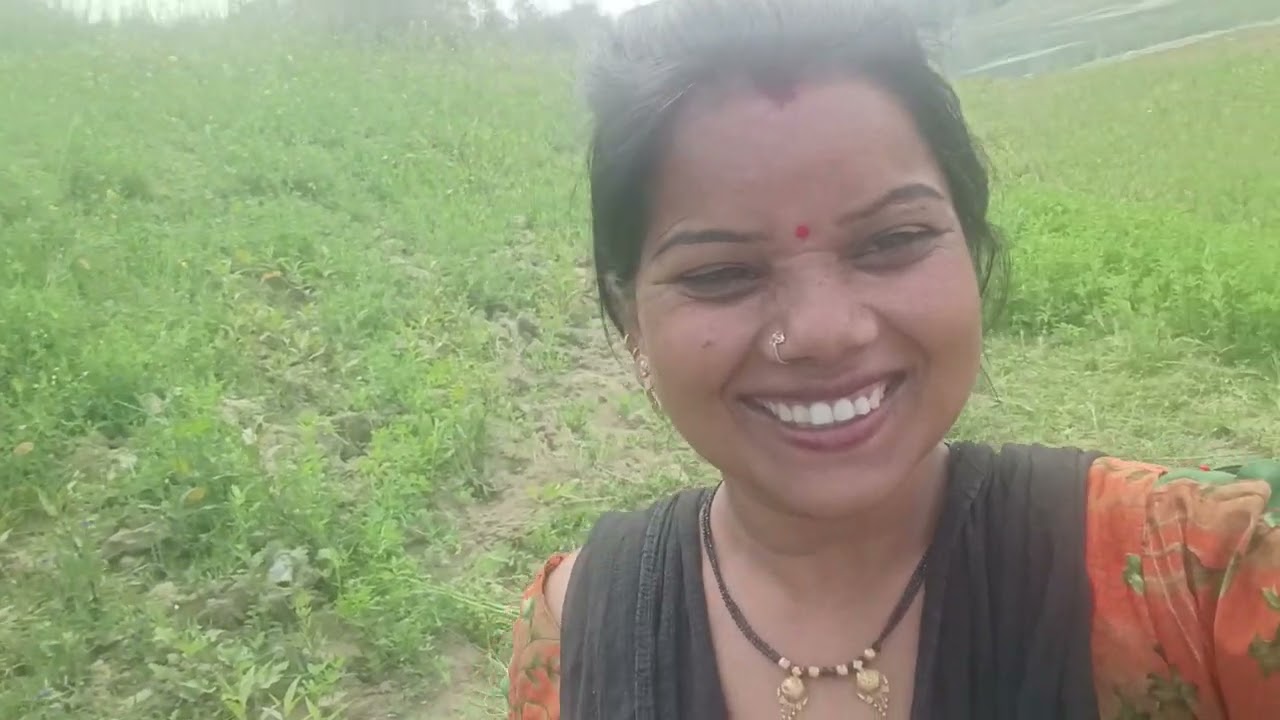 आज हम लोग कहां पर आए हैं फूल वीडियो देखिए