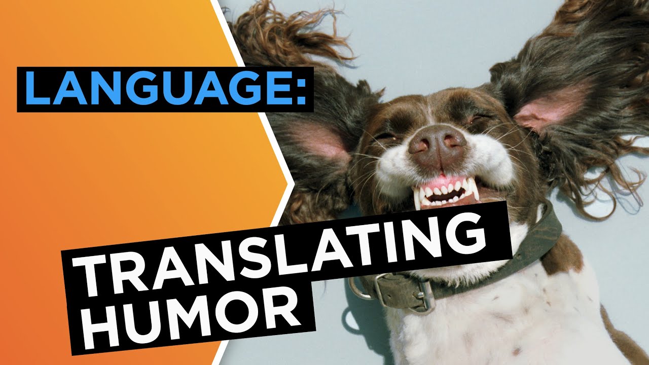 What&rsquo;s funny? How comedians translate humor | Paul F. Tompkins | Big Think