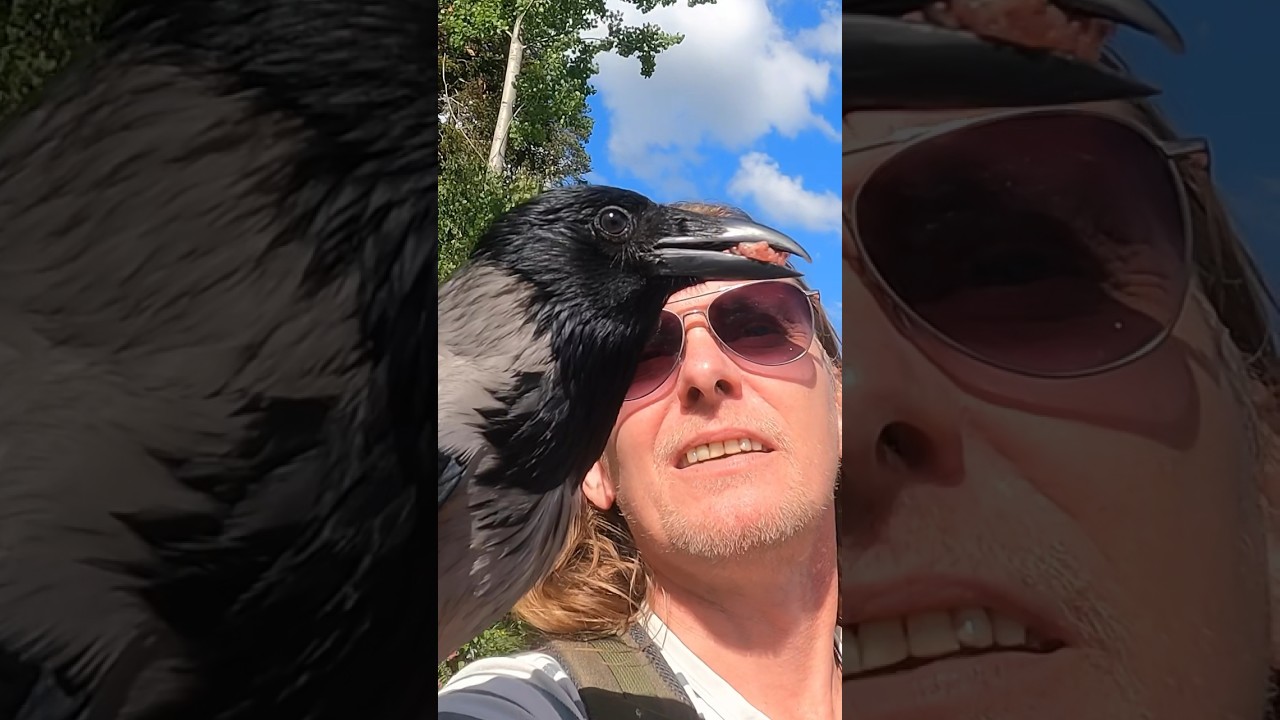 Kr&aring;kemannen og Kim Ine: Harmonisk Sommertur til Kr&aring;keflokken! 🦅🌞