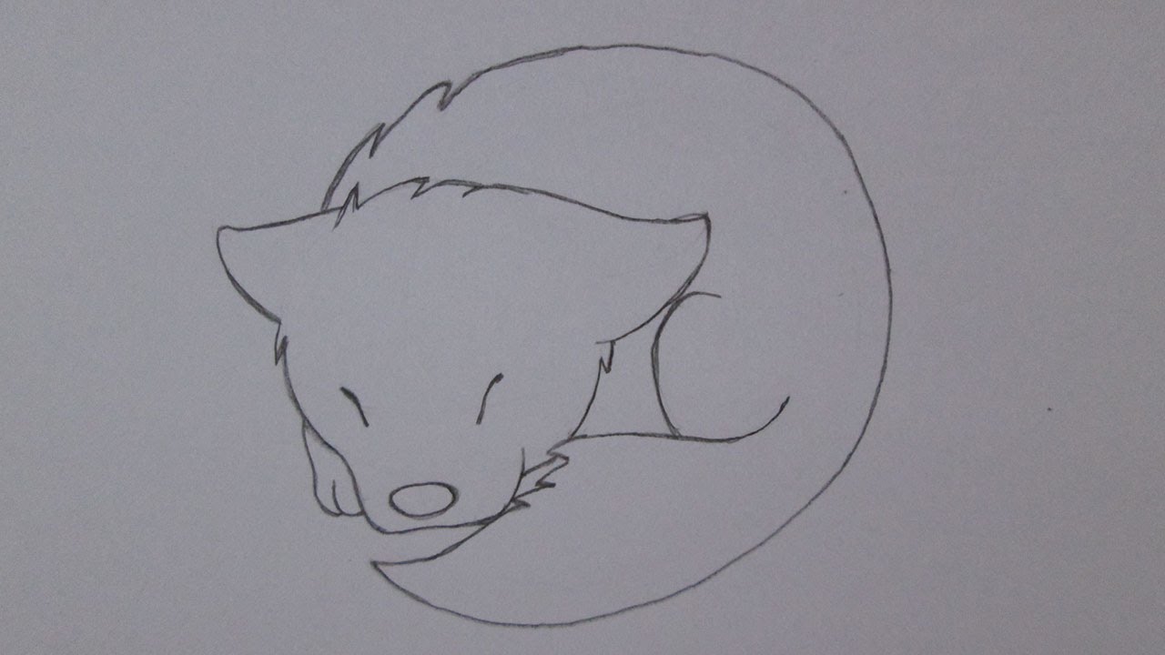 How to draw a wolf cub sleeping