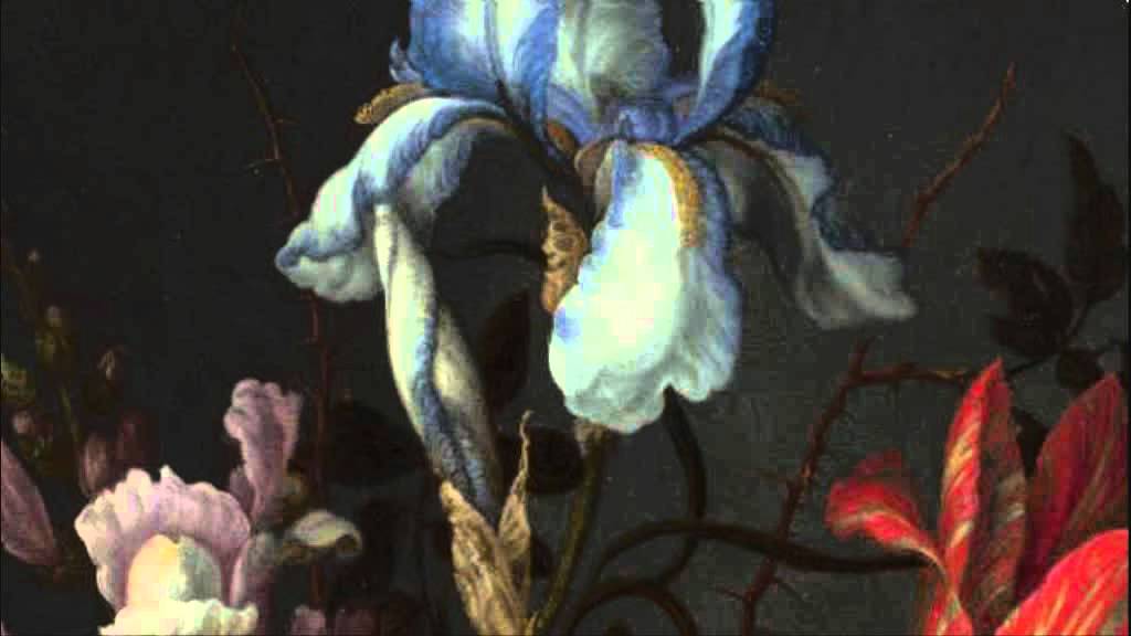 A. Vivaldi: Op.9 n.5 / Concerto for violin, strings & b.c. in A minor  (RV 358) / Ch. Hogwood