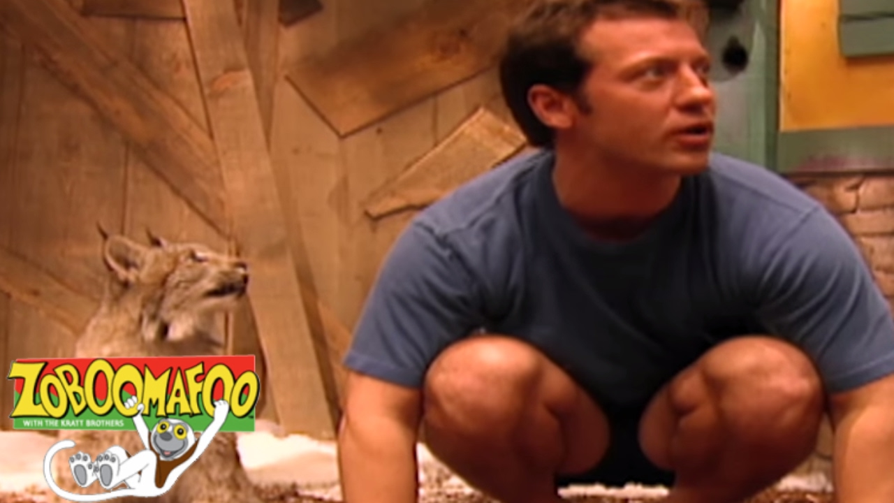 Zoboomafoo 114 - Tracks | HD | Full Episode