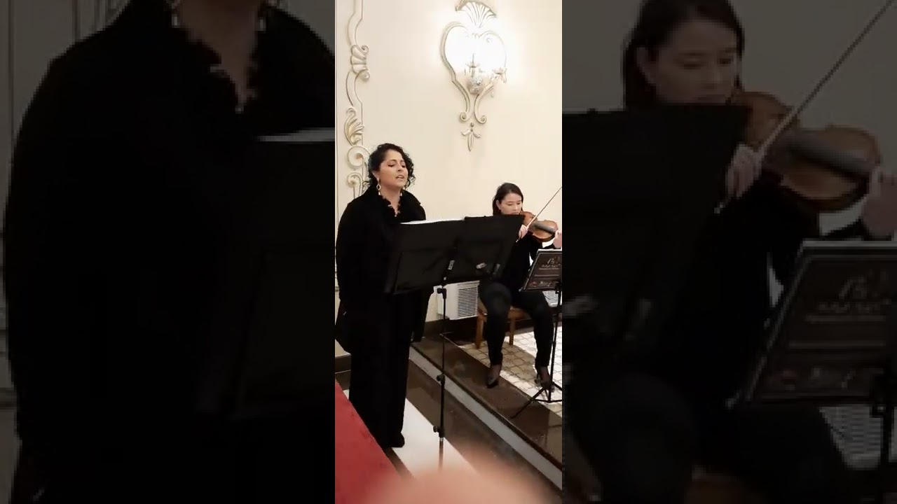 Perfect - Ed Sheeran  #casamento #serragaucha #violin