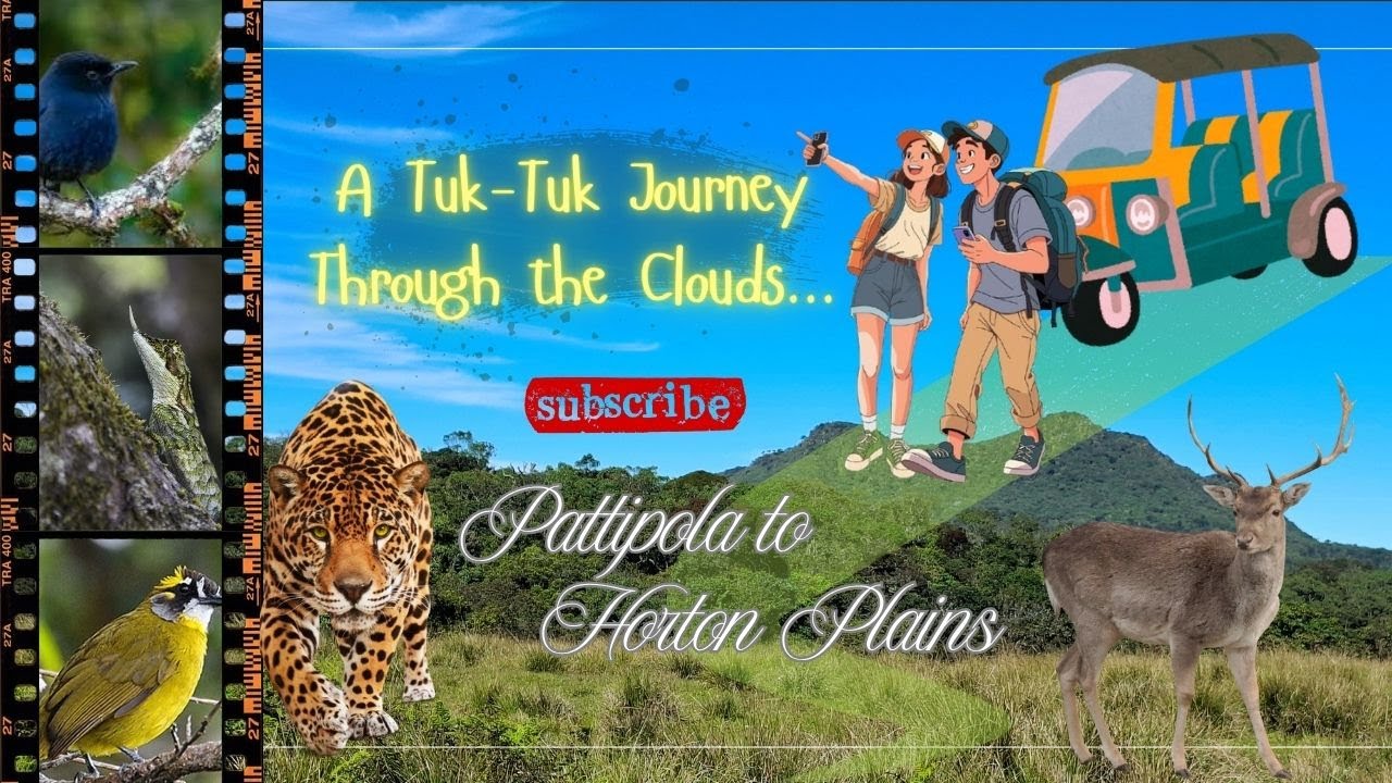 Tuk-Tuk Adventure from Pattipola to Horton Plains... #tuktuk #tuktukride  #pattipola #ohiya #travel