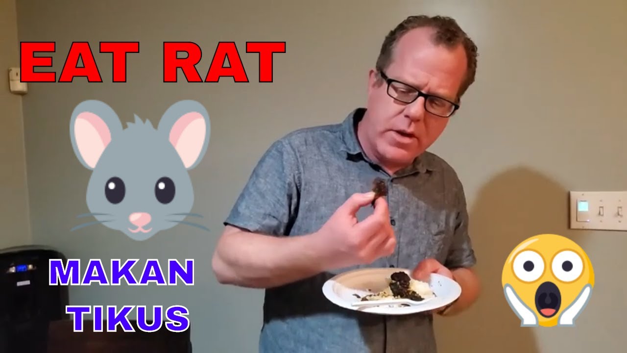 American Eats Rat Dish | Manadonese Spicy Food | Jungle Rat