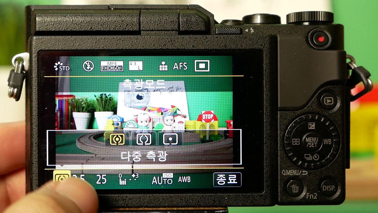 Panasonic Lumix GF9 M Control