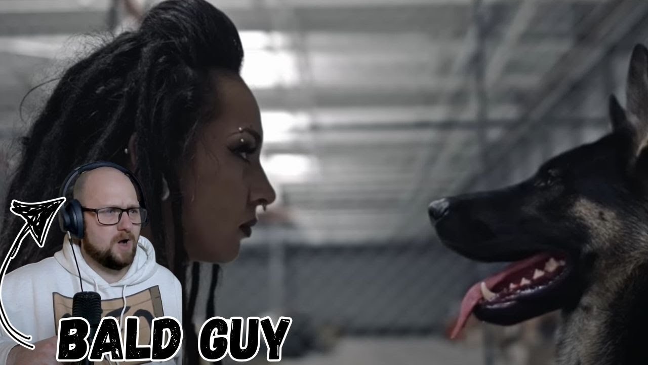 Good Doggy!!! | JInjer - Sit Stay Roll Over (Reaction)