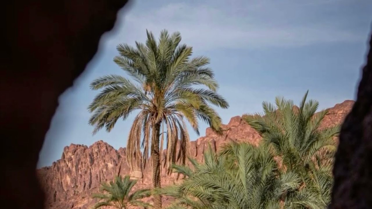 من لامني في حب حايل