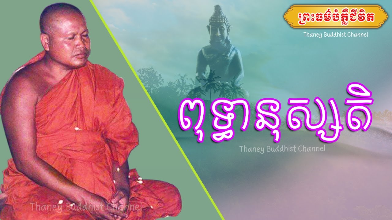 ពុទ្ធានុស្សតិ |ព្រះធម្មវិបស្សនា សំ ប៊ុនធឿន កេតុធម្មោ |Thaney Buddhist Channel