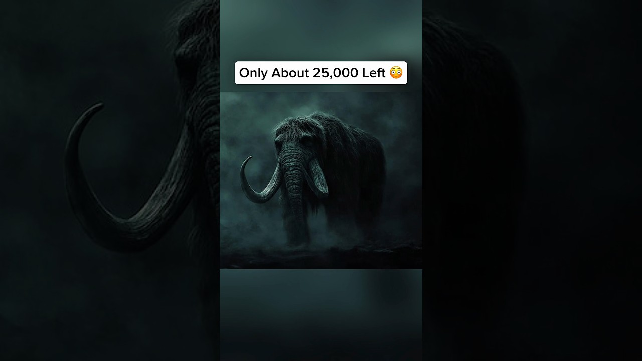 Animals That Might Be Gone By 2026 🤯