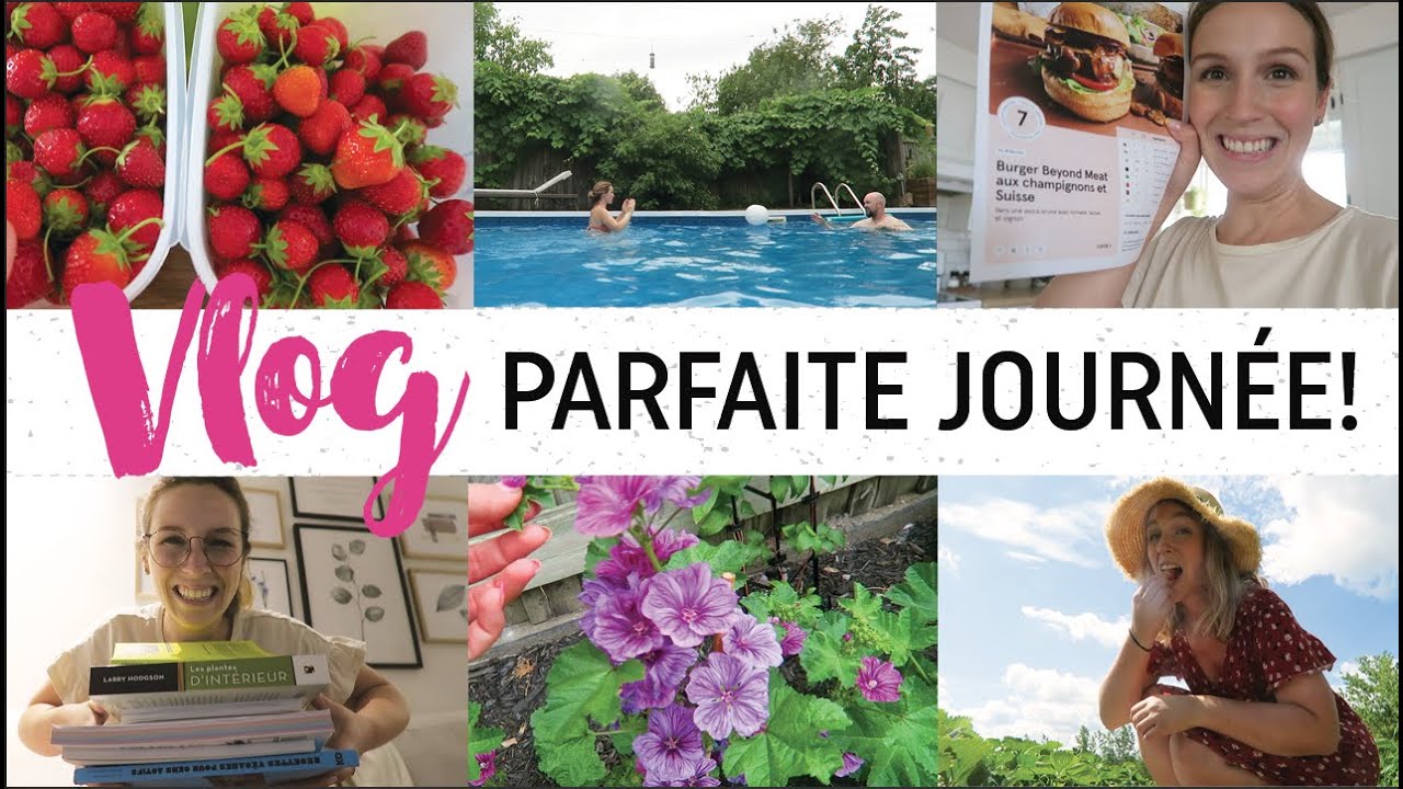 Fraises en famille, piscine en couple et mes lectures terminées !