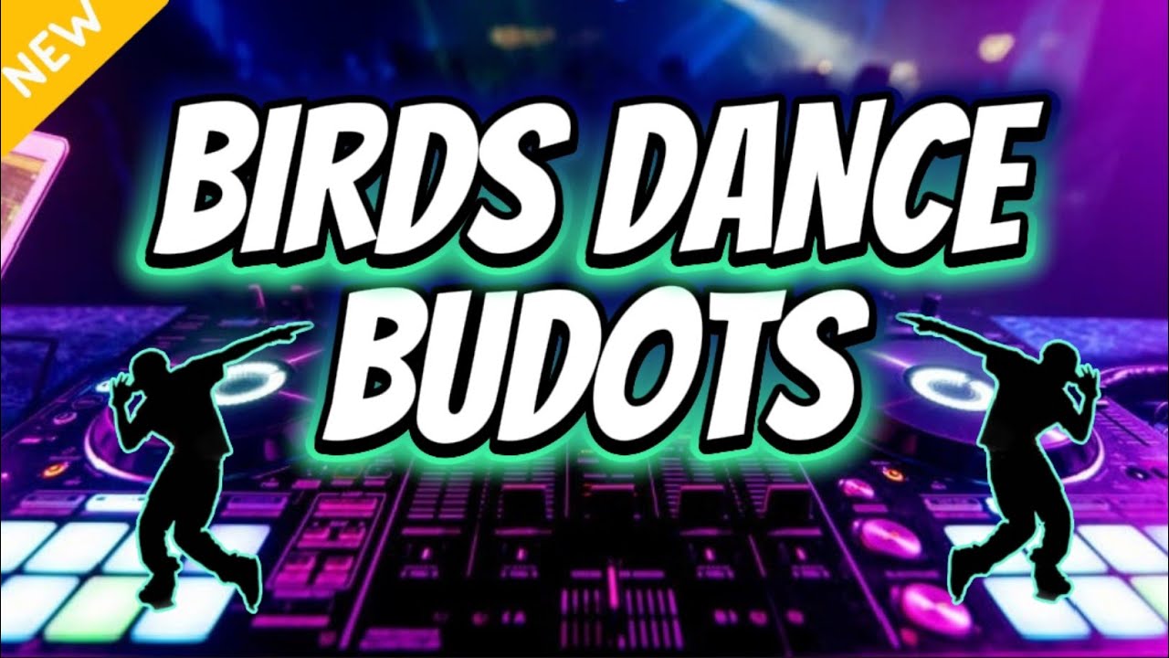 BIRDS - DANCE BUDOTS (TIKTOK VIRAL) DJMARK TV REMIX LMC DJS