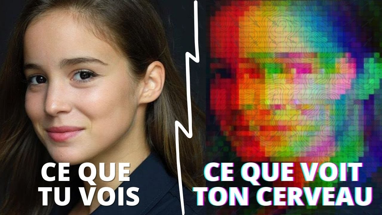 Voila Ce Qui Arrive Quand Doris Décrypte Ton Cerveau ! - NEUROSTORY