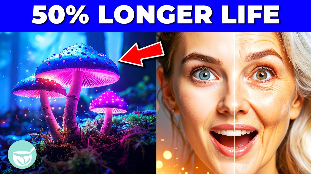Magic Mushrooms Extend Life by 50% (New Scientific Study)