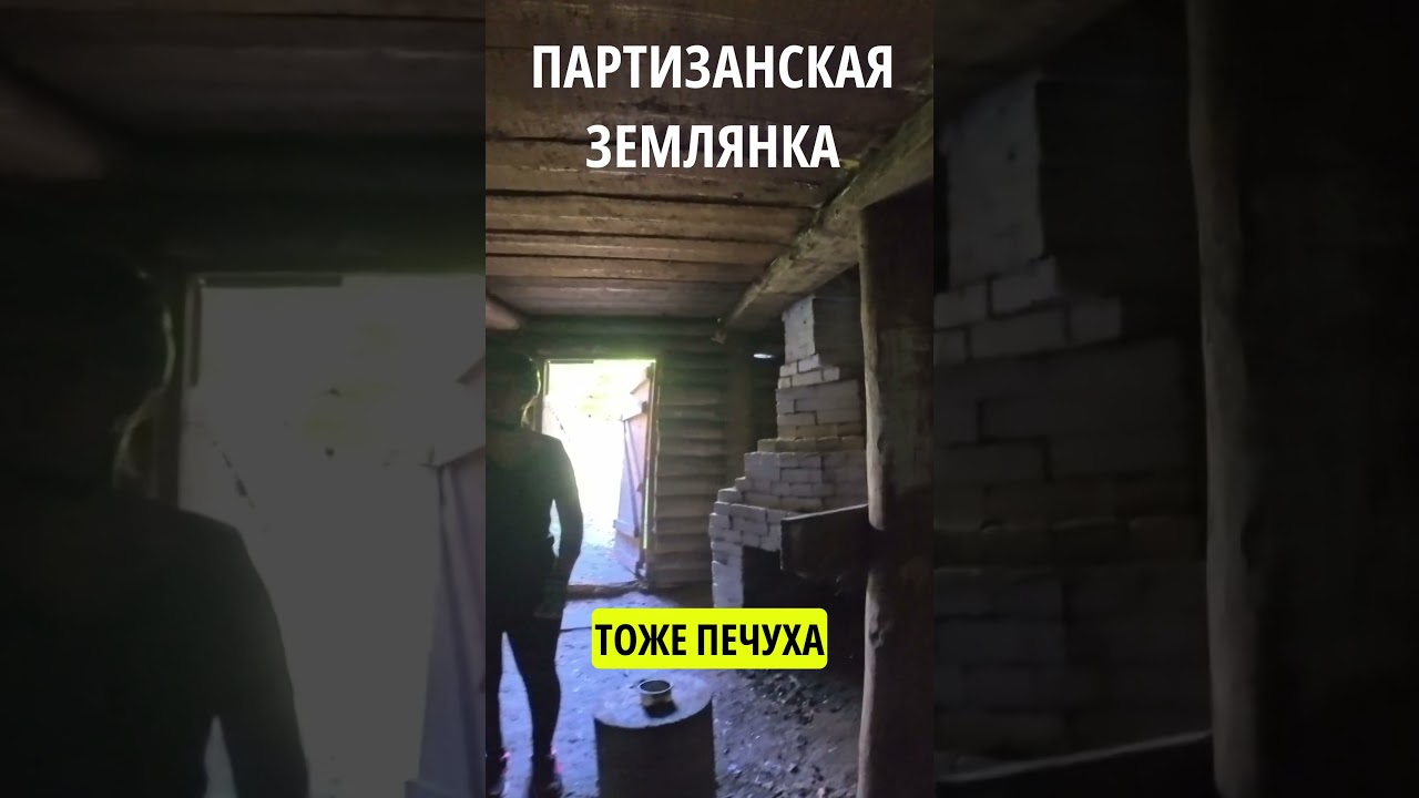 #землянка #партизаны #dugout #partisan #история #память #лес #брянск #shorts #4k #top #рекомендации