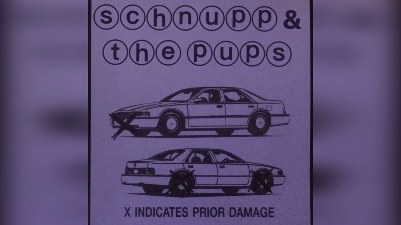Schnupp & the pups - X INDICATES PRIOR DAMAGE