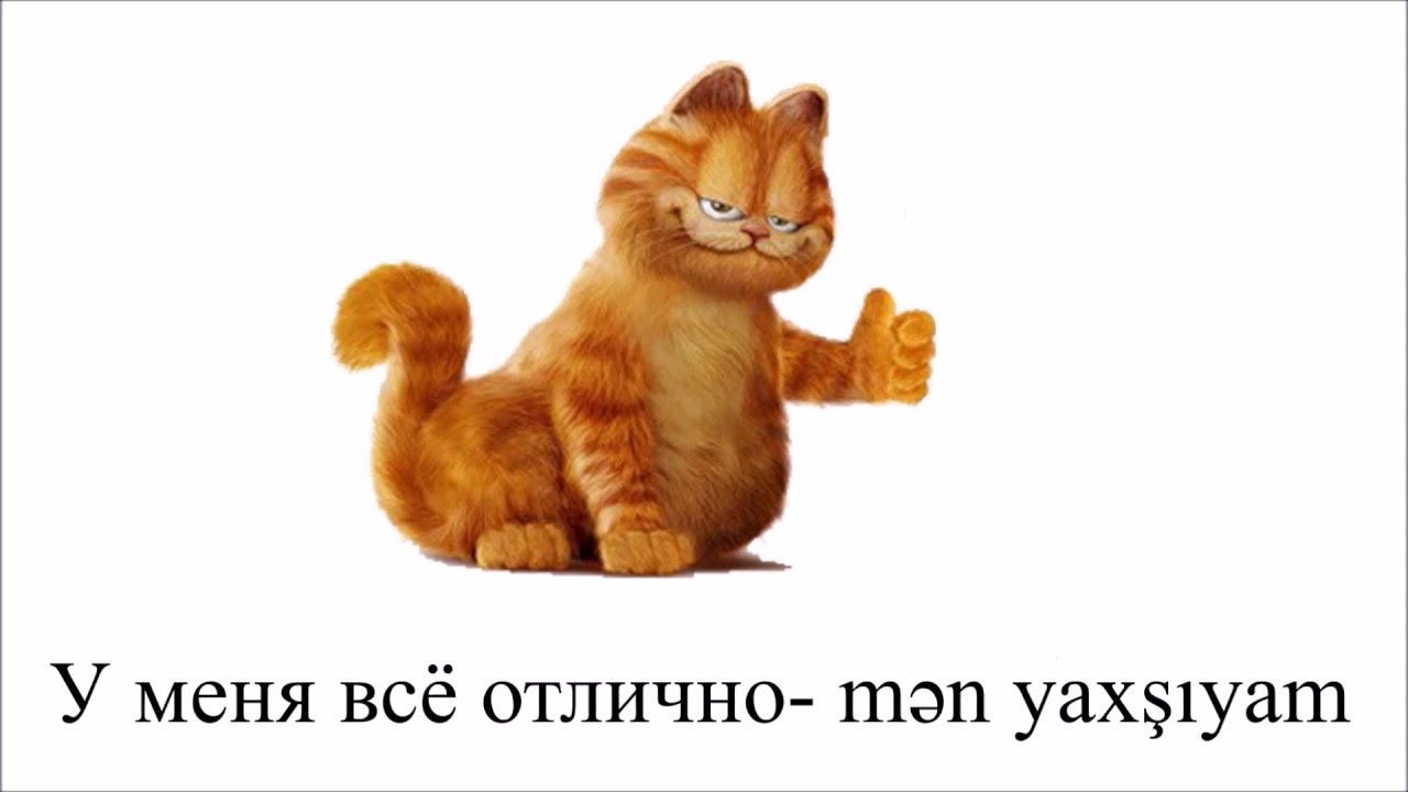 Rus dilini şəkillərlə &ouml;yrən-  Salamlaşma və əhval soruşmaq