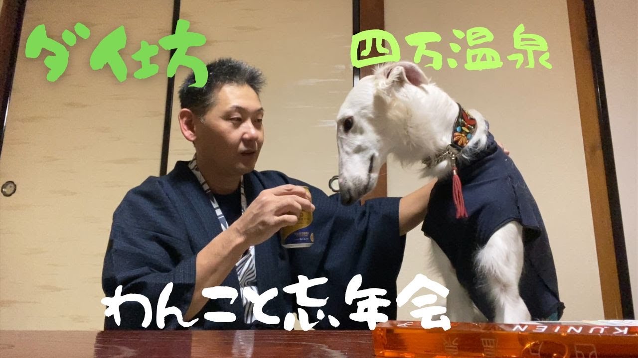 四万温泉 　わんこと忘年会