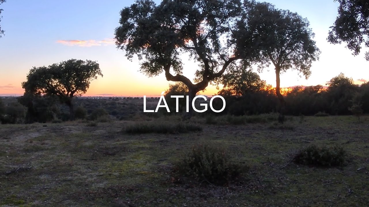Mtb, Fuenlabrada-sendero largo de Boadilla y vuelta 