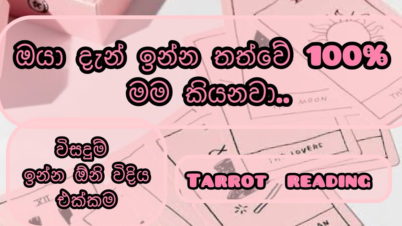 ඔයා ගේ දැන් තත්වේ ගැන හැමදේම/current situation tarrot reading 