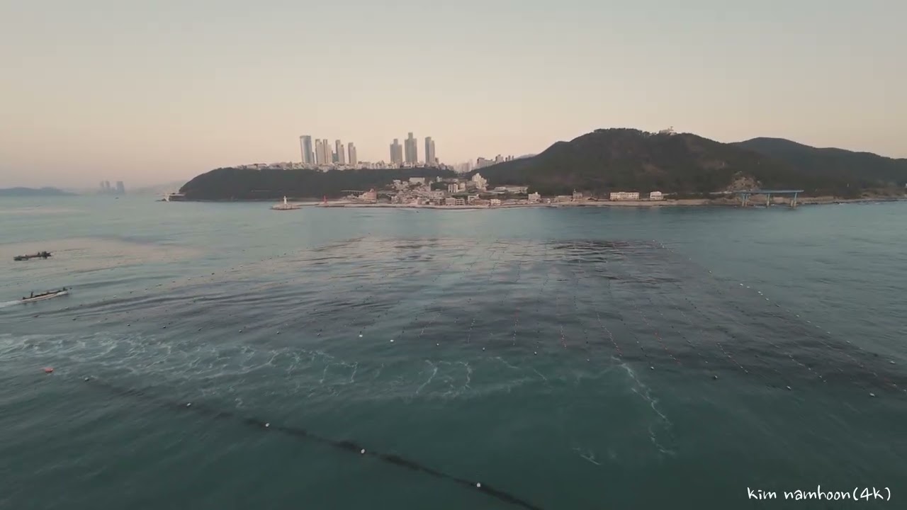 부산   아바타 2
