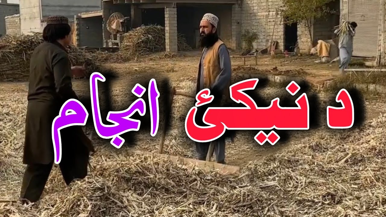 Da Neekai Anjaan | Pashto Funny Video | Pashto Comedy Video By BD Vines 2025 #bdvines 