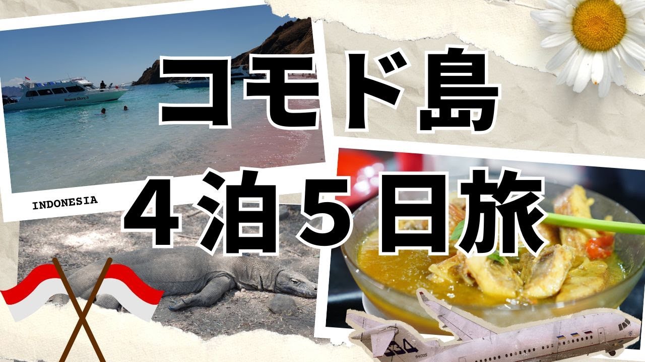 コモド島４泊５日旅行ってきました！