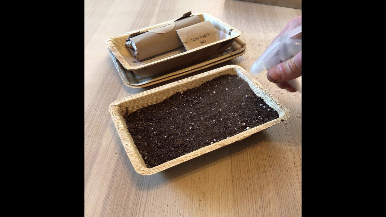 Microgreen Grow-Kit How-To Video