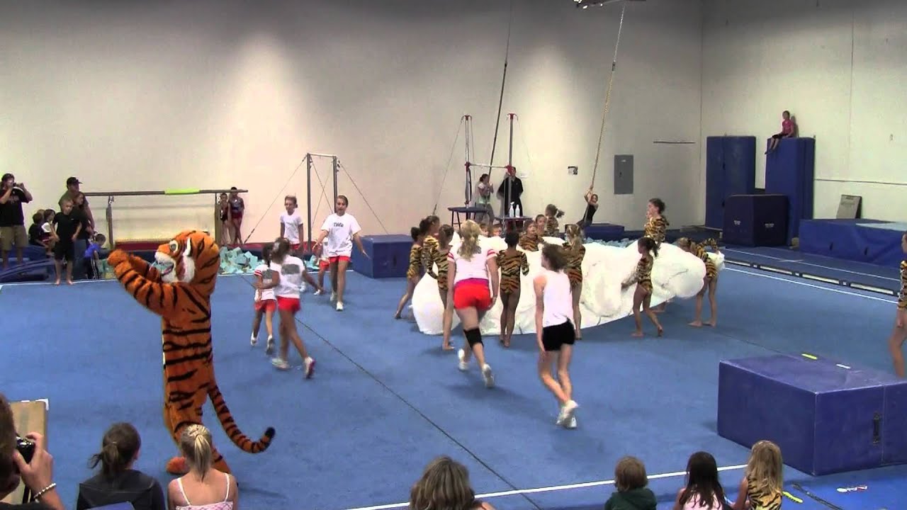 TIGAR Gymnastics Exhibition Team 2011