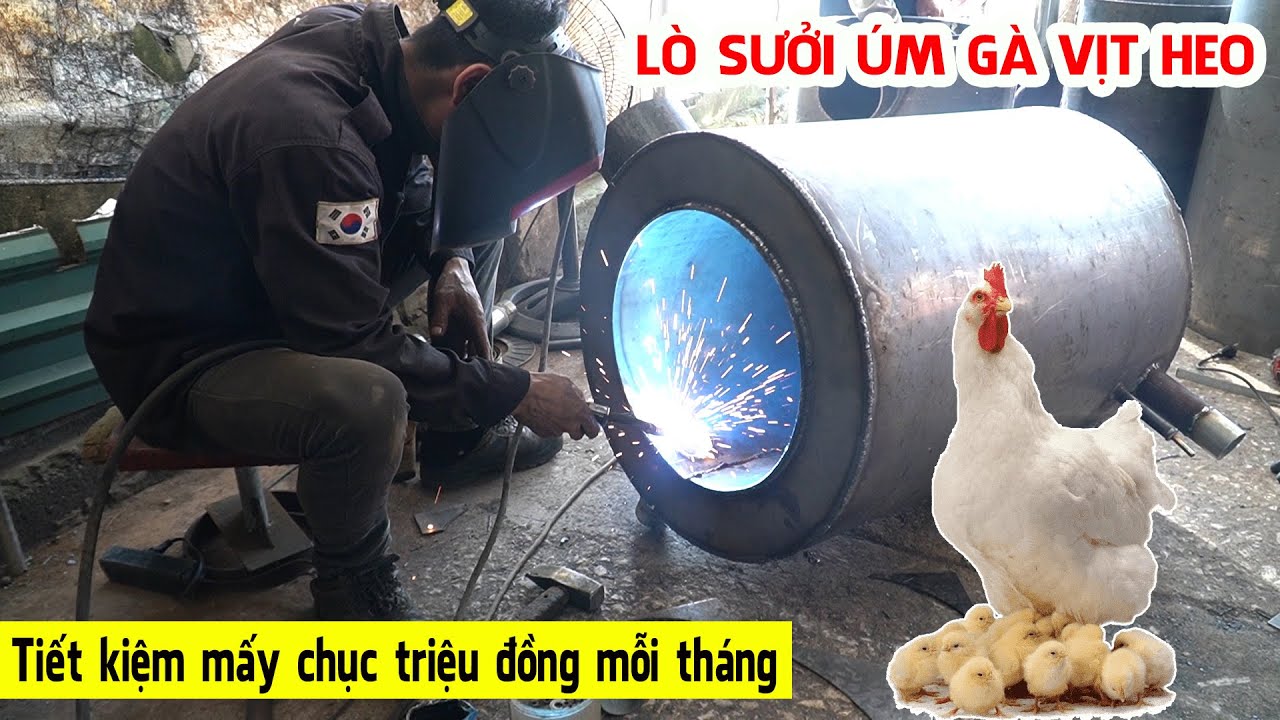 Lò Sưởi Úm Gà Sưởi Úm Heo Cho Trang Trại Lớn - Trần Thành Hữu