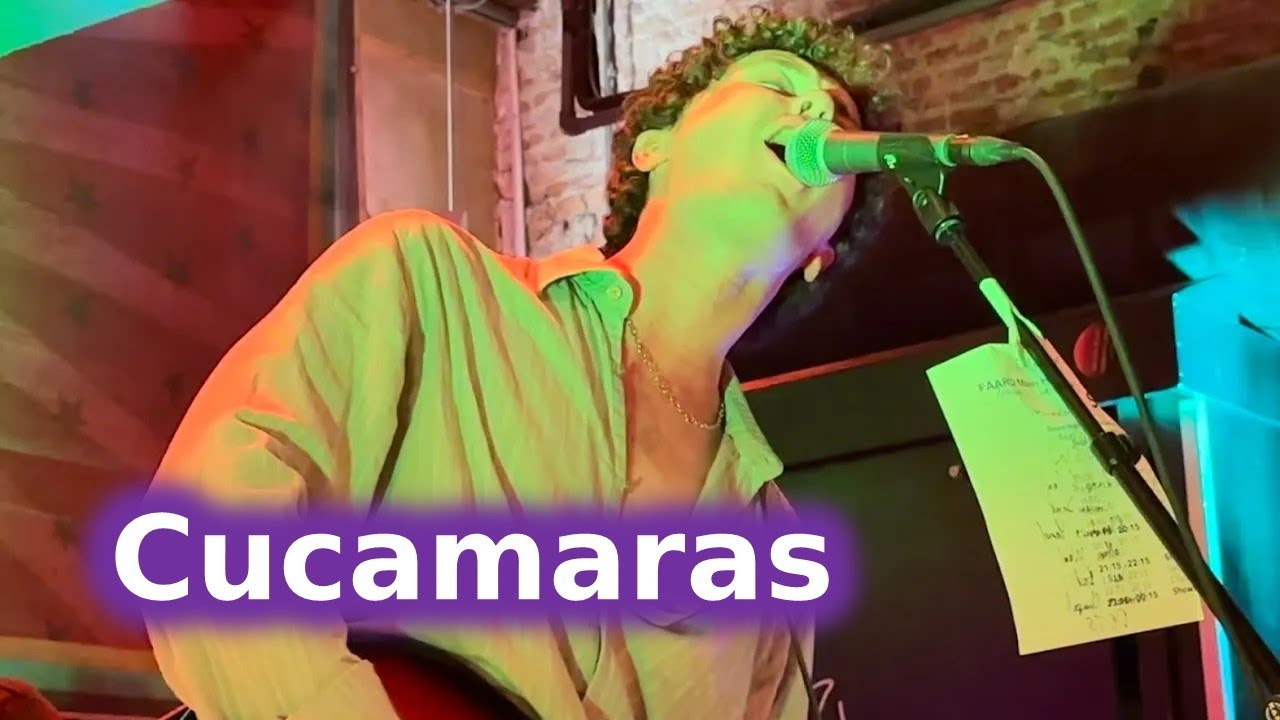 Cucamaras - Death of the Social - live at Sniester Festival 2023