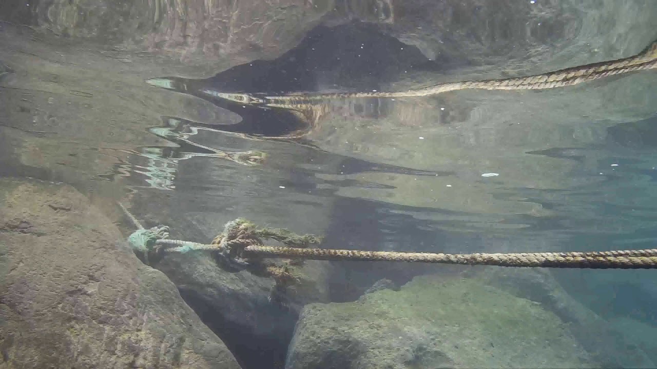 Snorkeling Gran Canaria Playa de Amadores 2018/11