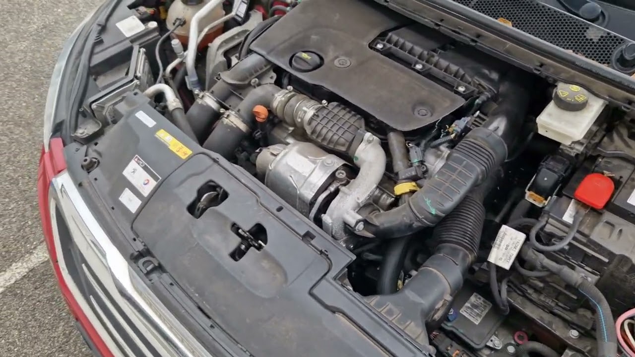 Marderschaden am Diesel? unbedingt beachten!