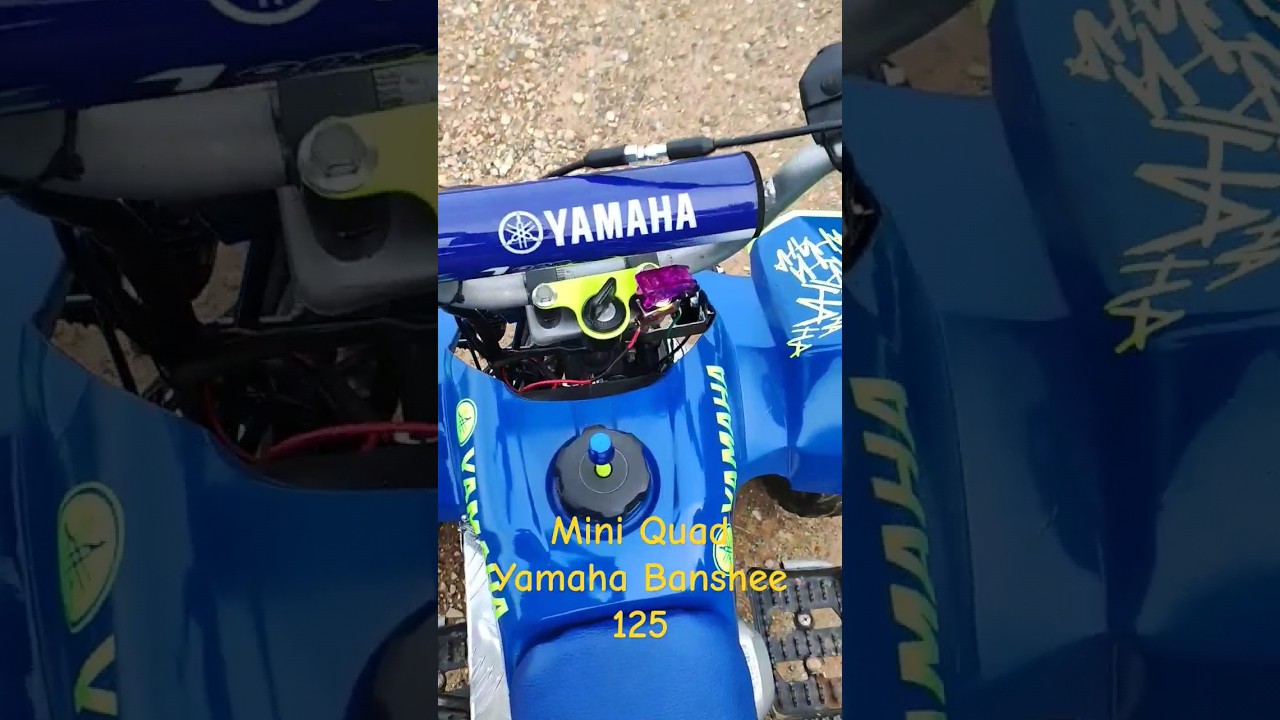 Mini Quad Yamaha Banshee 125cc