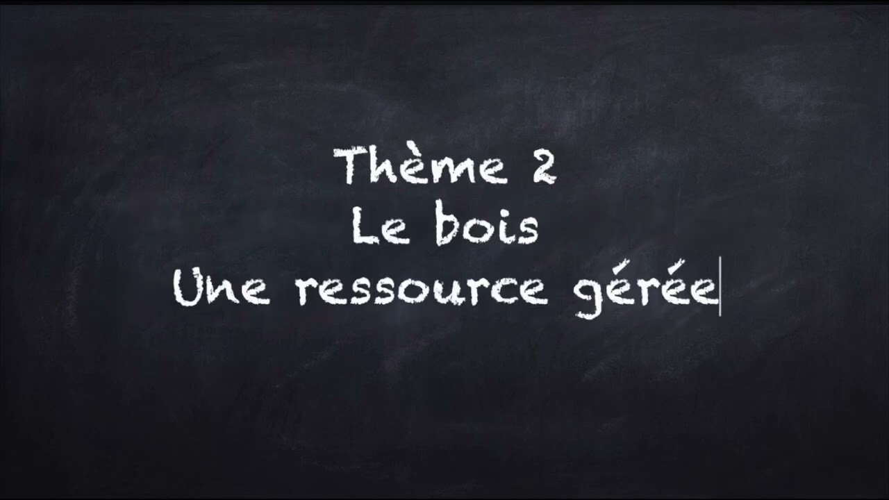 Découvrir une ressource : la forêt 