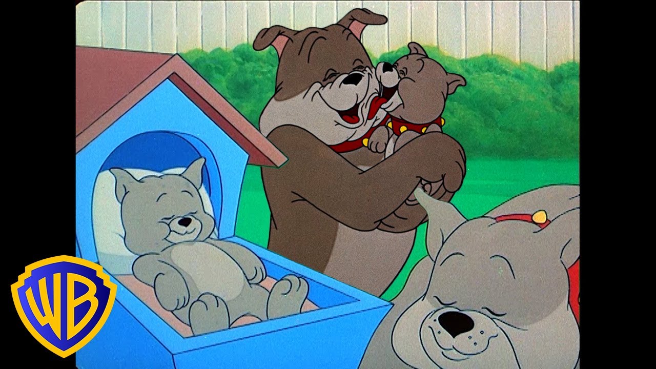 Tom y Jerry en Latino | El mejor papá perruno de todos 🐶 | Día del Padre | @WBKidsLatino