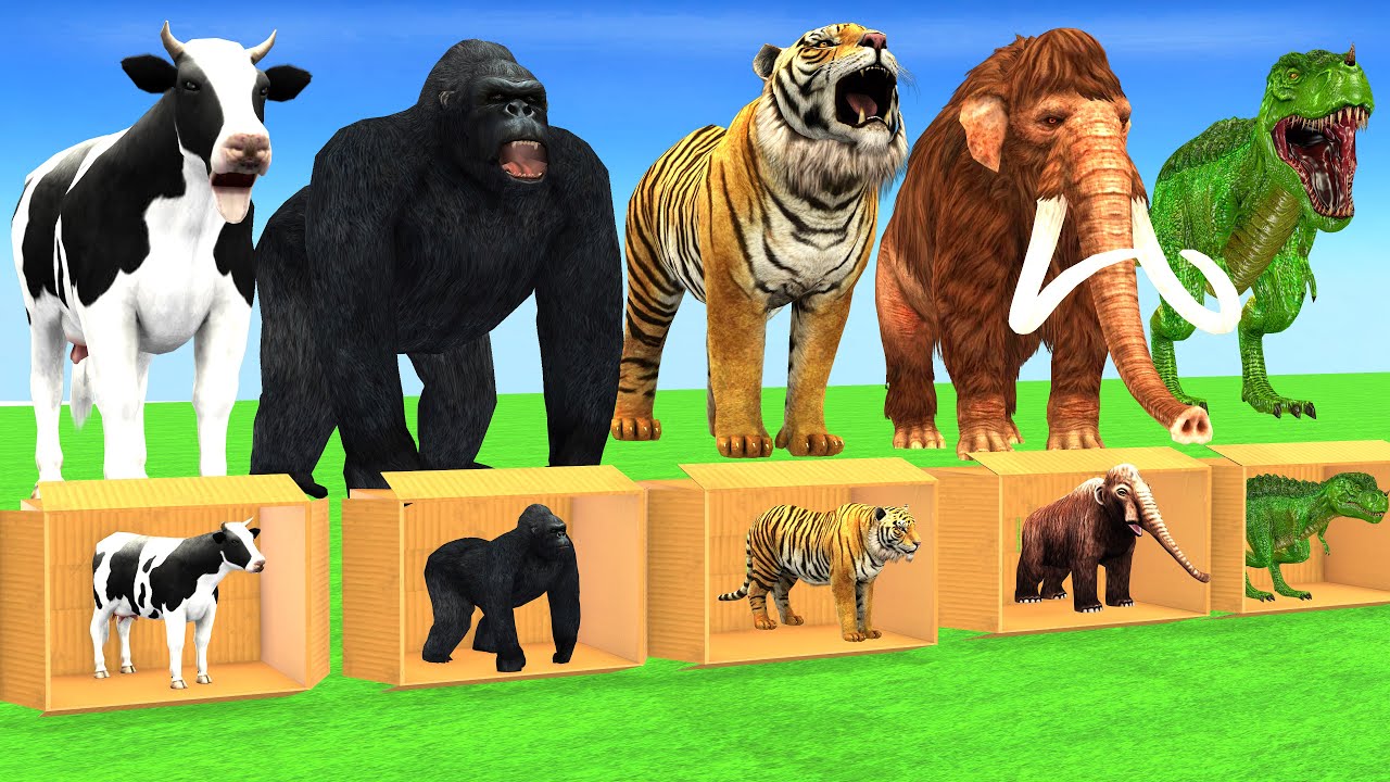 Extreme Hide and Seek Box Challenge with Cow Tiger Elephant Mammoth Dinosaur Gorilla Wild Animals