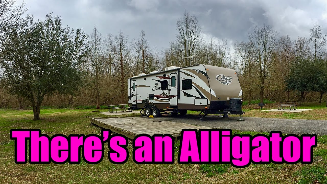 "There's an Alligator!" - Ep. 33 - Full Time RV Living