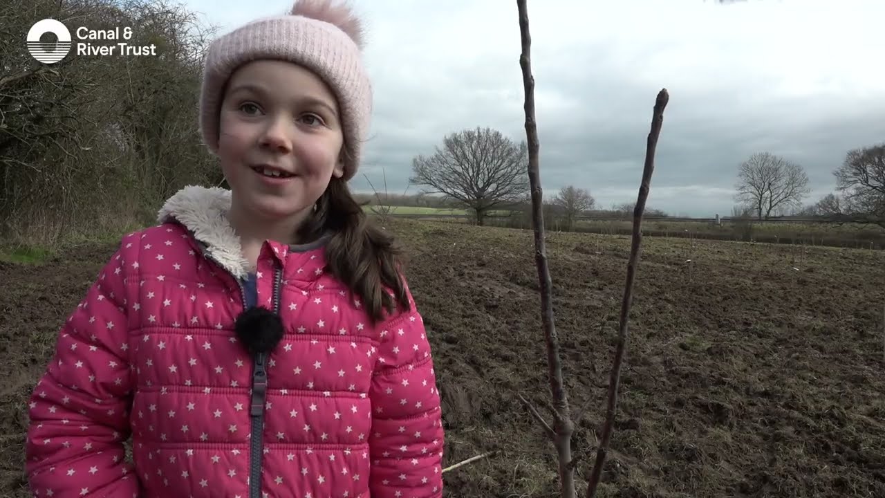 Giant community orchard