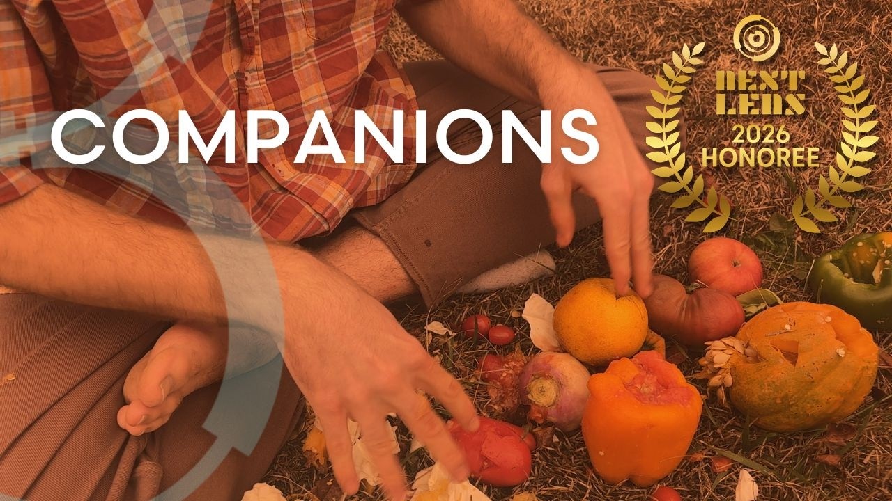 COMPANIONS | NextLens Film Festival - Short Film | Shot on iPhone