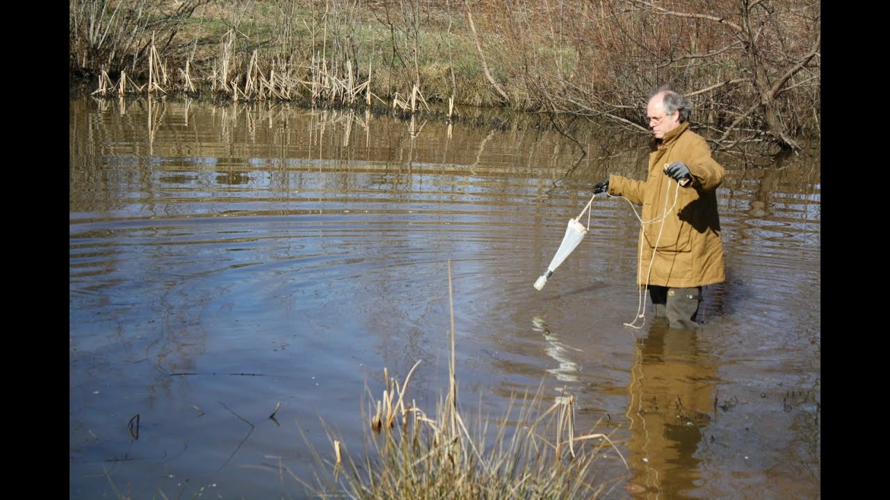Environmental Biologist - Cool Jobs