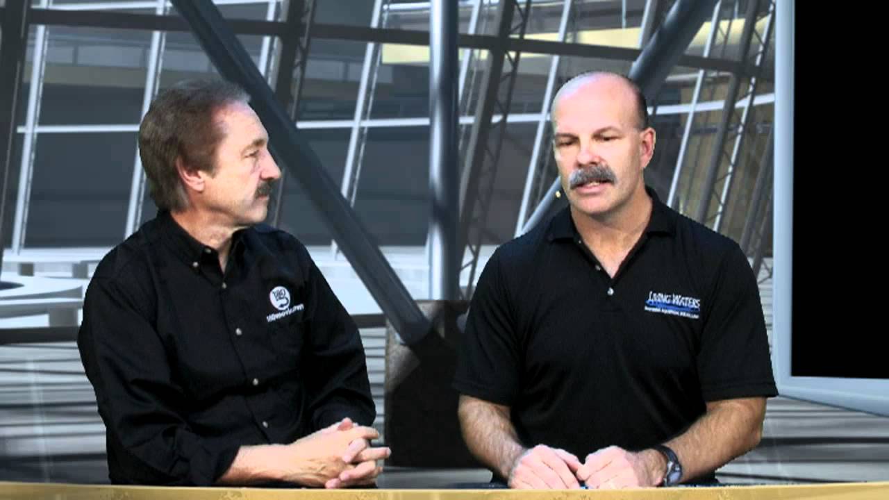 On The Box Episode #216