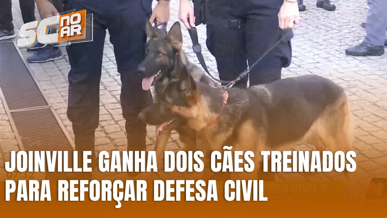 Defesa Civil de Joinville completa 52 anos e recebe cães treinados