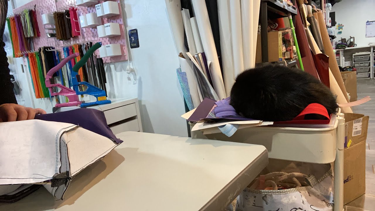 Live Replay Speed Sewing Peek A Boo Beauty Bags
