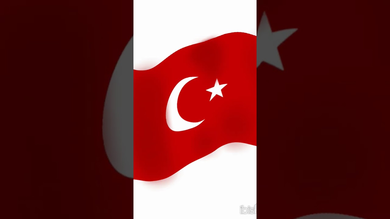 Turkey national flag#flag #turkey #t&uuml;rkiye #turkishflag #t&uuml;rk&ccedil;e #t&uuml;rk&uuml; #shorts #drawing #art